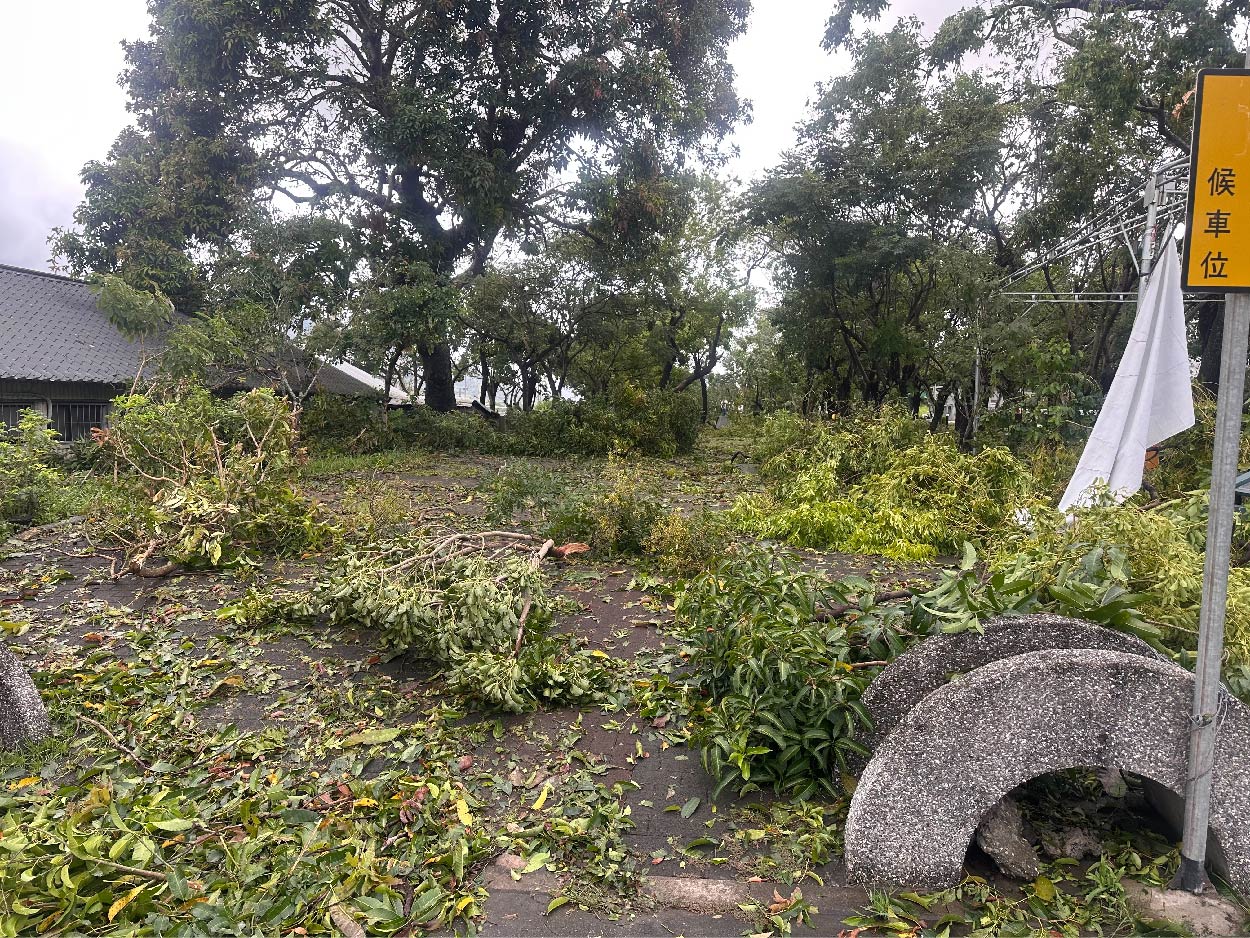 噗噗共乘